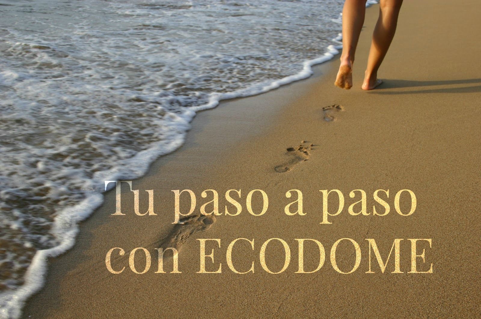 TU PASO A PASO CON ECODOME