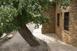 Casa con torreón octogonal