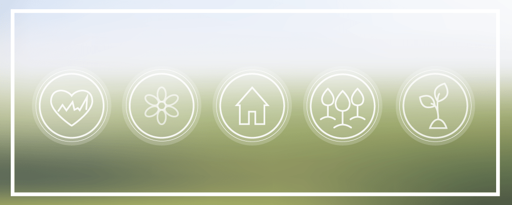 ¿Qué son las casas ecológicas?
