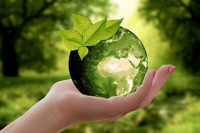 turismo ecologico blog