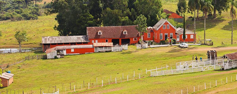 ¿Pensando en vivir en el campo?
