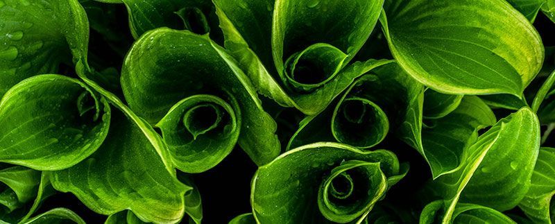 Neri Oxman: diseño centrado en la naturaleza