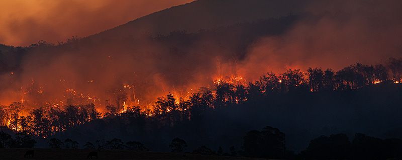 Acciones y recomendaciones para prevenir incendios