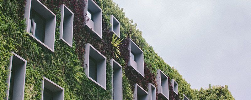 Bioconstrucción: ¿Qué es? ¿Qué beneficios tiene?